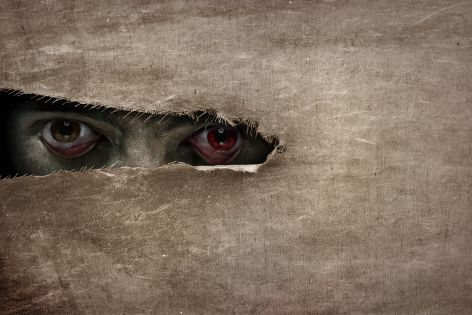L’inhumanité : Les méchants sont-ils des animaux ?