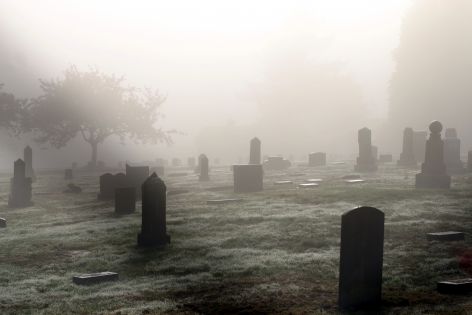 Le brin de vérité des films de zombies