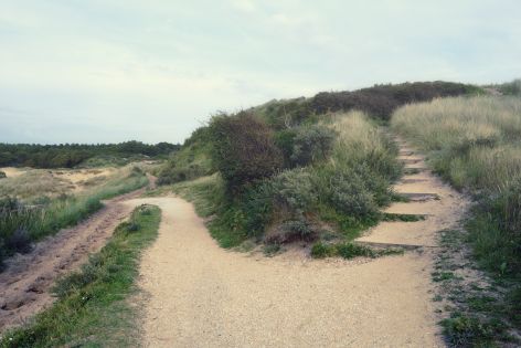 Sur Ses Traces