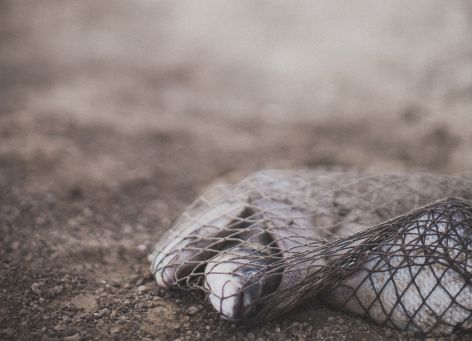 Le message du Messie : L’Évangile du Royaume
