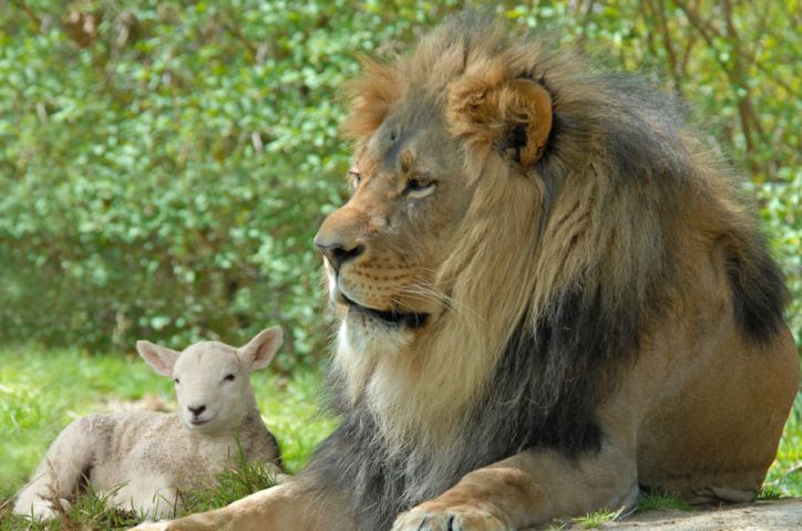 Le Royaume de Dieu