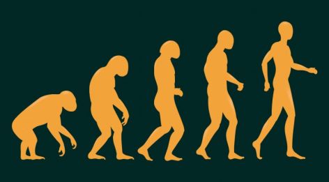 La théorie darwinienne de l’Evolution a changé le monde