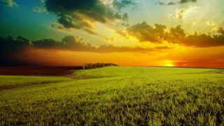 1 000 ans – un millenium !