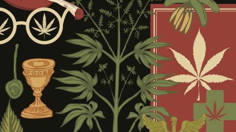 Pourquoi vous ne devriez pas consommer de marijuana, même si elle est légale