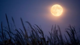 Dans Colossiens 2:16-17, Paul avertit-il les chrétiens de ne pas observer la loi divine ?