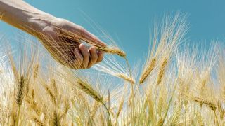 Marchez comme il a marché : Jésus observait-il le jour du sabbat ?