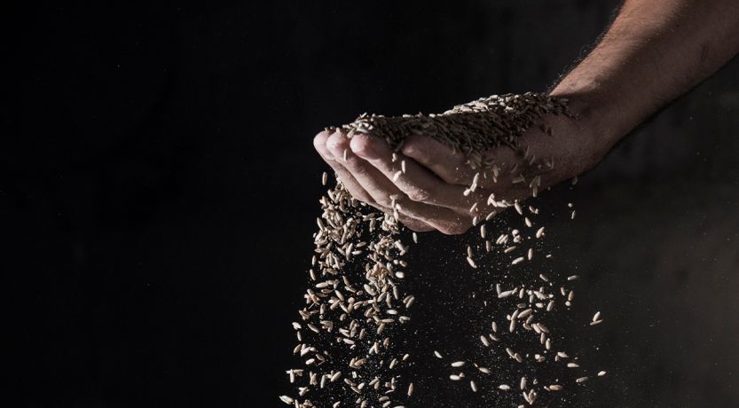 Apprendre de la parabole du riche insensé