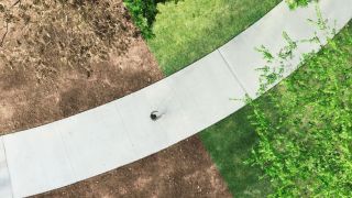 Comment le repentir sauvera le monde