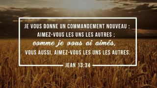 Pourquoi Jésus nous a-t-il donné « un nouveau commandement » ?
