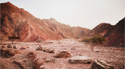 Marchez comme il a marché : Que retirer de la tentation de Jésus dans le désert ?