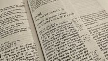 Josué dans la Bible : un fidèle serviteur de Dieu