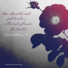L’amour est patient, il est plein de bonté ; l’amour n’est point envieux ; l’amour ne se vante point, il ne s’enfle point d’orgueil,