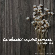 L’amour ne périt jamais. Les prophéties seront abolies, les langues cesseront, la connaissance sera abolie.
