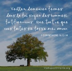 Veillez, demeurez fermes dans la foi, soyez des hommes, fortifiez-vous.