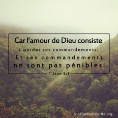 Car l’amour de Dieu consiste à garder ses commandements. Et ses commandements ne sont pas pénibles,...