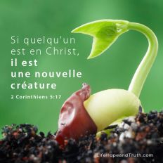 Si quelqu’un est en Christ, il est une nouvelle création. Les choses anciennes sont passées ; voici, toutes choses sont devenues nouvelles.
