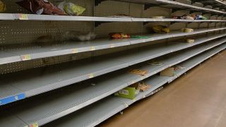 La crise alimentaire mondiale