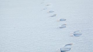 Marchez comme il a marché : Que pouvons-nous apprendre de l’enfance de Jésus ?