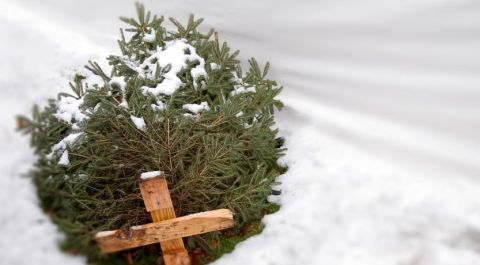 Nous n’avons pas fêté Noël, l’an passé. Voici pourquoi