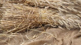 Marchez comme il a marché : Quelle était la mission et le but de Jésus ?