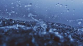 « Homme de peu de foi »