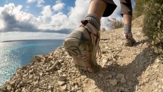 Cherchez premièrement le royaume et la justice de Dieu