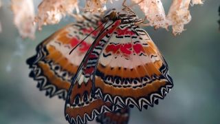 La conversion chrétienne : d’après la Bible, comment devient-on chrétien ?