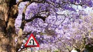 Qu’est-ce que le repentir ?