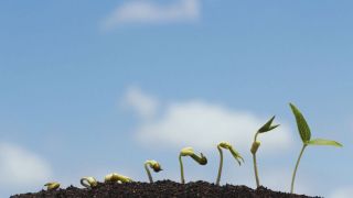 Que signifie être appelé par Dieu ?