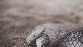 Le message du Messie : L’Évangile  du  Royaume