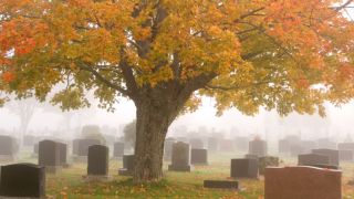 Les résurrections dans la Bible