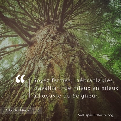 Ainsi, mes frères bien-aimés, soyez fermes, inébranlables, travaillant de mieux en mieux à l’œuvre du Seigneur, sachant que votre travail ne sera pas vain dans le Seigneur.