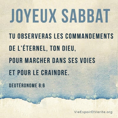 Tu observeras les commandements de l’Eternel, ton Dieu, pour marcher dans ses voies et pour le craindre.