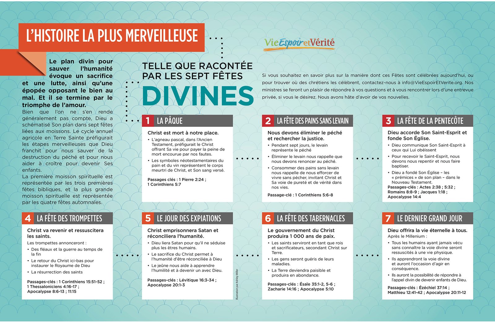 L’histoire la plus merveilleuse