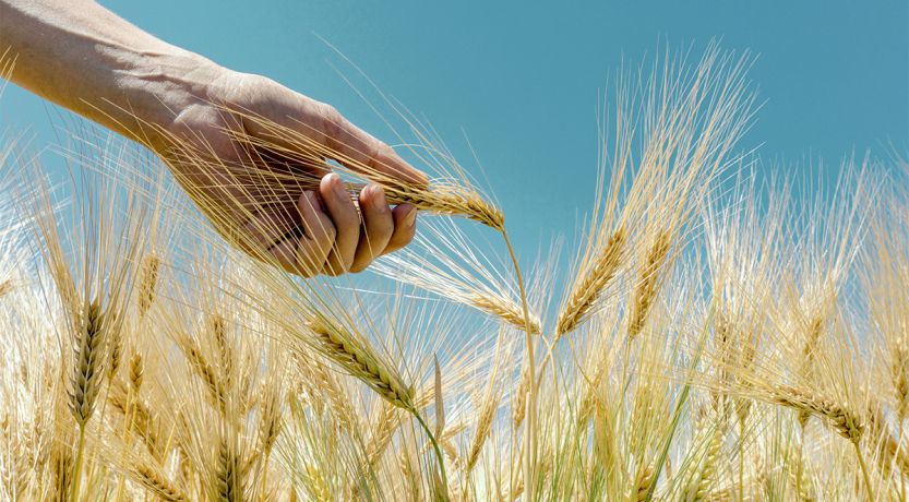 Marchez comme il a marché : Jésus observait-il le jour du sabbat ?