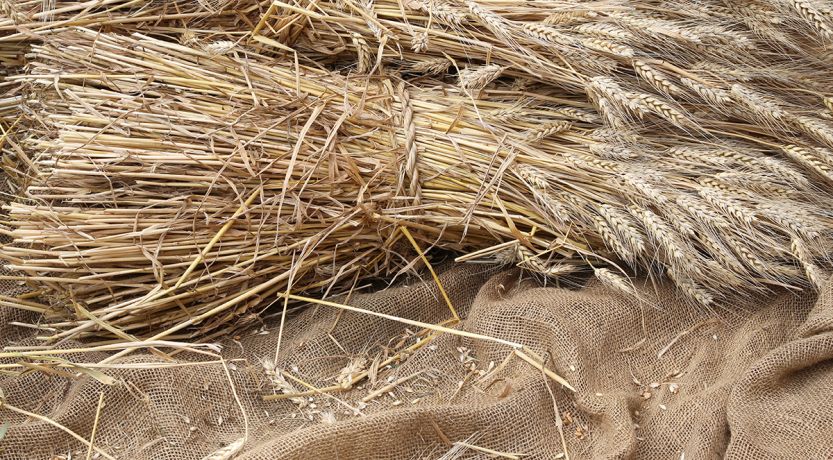 Marchez comme il a marché : Quelle était la mission et le but de Jésus ?