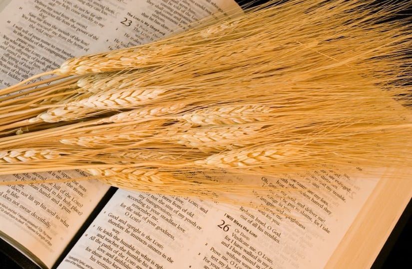 Quelles fêtes chrétiennes l’Église primitive célébrait-elle?