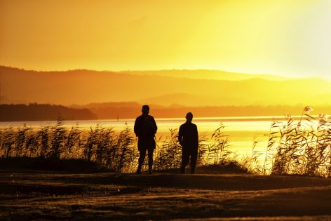 En quoi consistait la transfiguration, dans Matthieu 16:28 ?