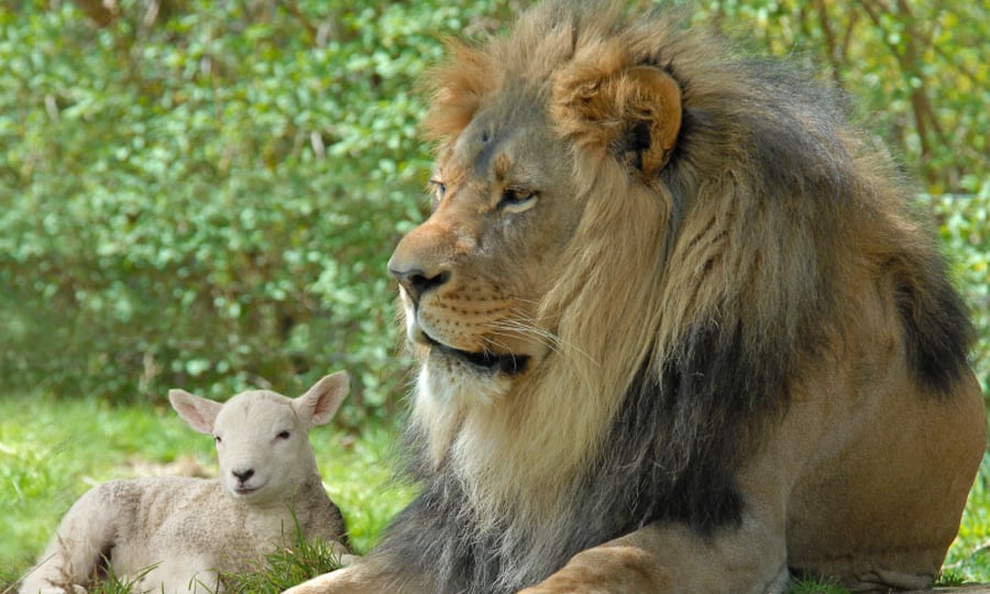 Le royaume de Dieu