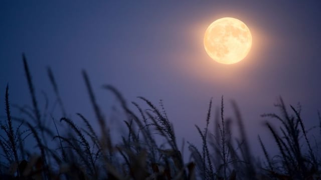 Dans Colossiens 2:16-17, Paul avertit-il les chrétiens de ne pas observer la loi divine ?