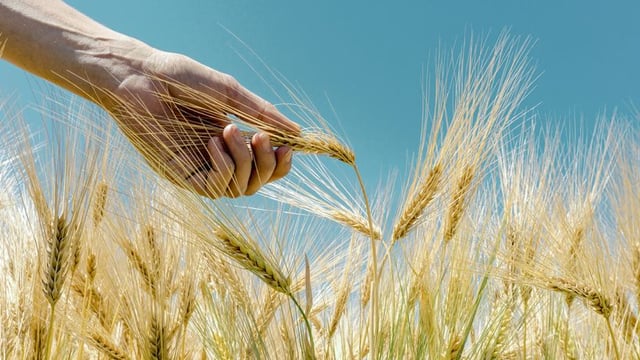 Marchez comme il a marché : Jésus observait-il le jour du sabbat ?