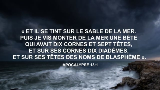 Qui est la bête ?