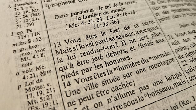 Vous êtes le sel de la terre