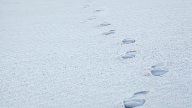 Marchez comme il a marché : Que pouvons-nous apprendre de l’enfance de Jésus ?