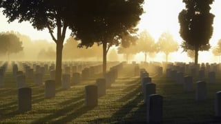 Combien de gens sont perdus à jamais ?