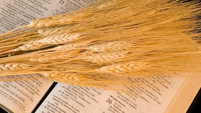 Quelles fêtes chrétiennes l’Église primitive célébrait-elle?