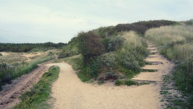 Sur Ses Traces
