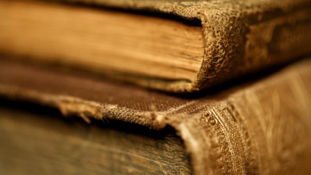 Des faits bibliques fascinants