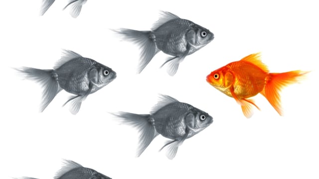 Qu’est-ce que la conversion?