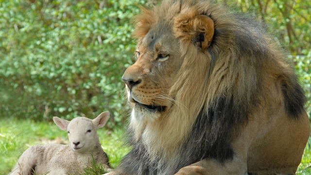 Le royaume de Dieu